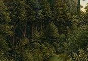 Exhibition 'From tree trunk to altarpiece' 