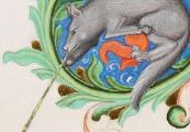 The Magnificent Middle Ages